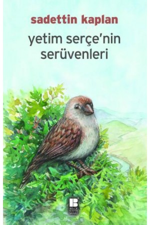Yetim Serçenin Serüvenleri…