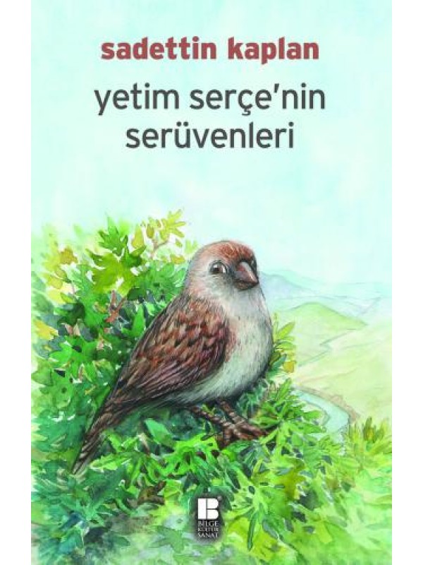 Yetim Serçenin Serüvenleri…