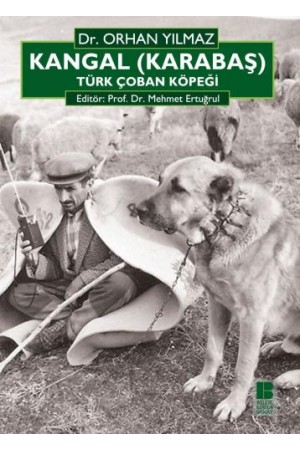 Kangal (Karabaş) Türk Çoban Köpeği…