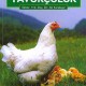 Tavukçuluk
