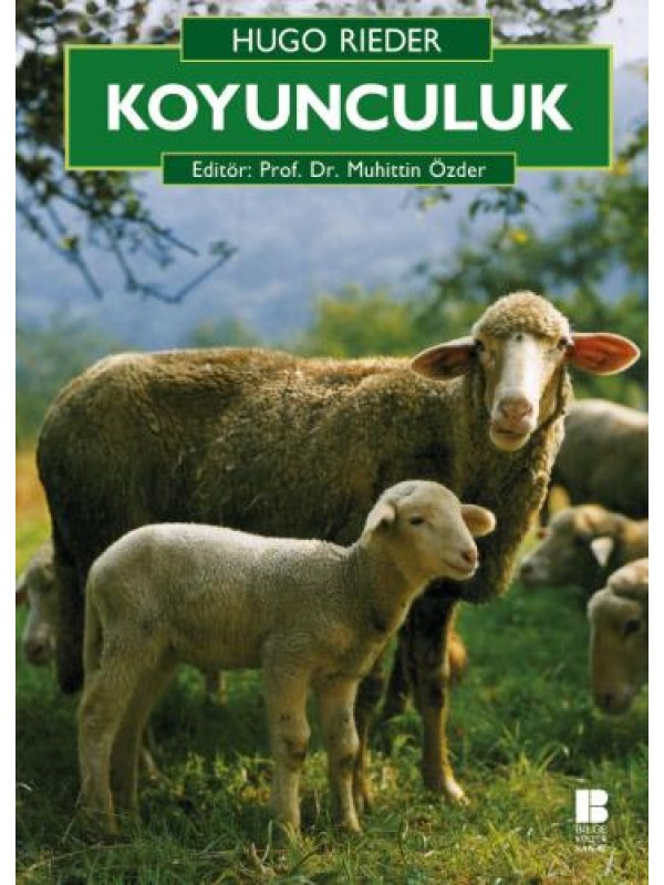 Koyunculuk…