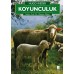 Koyunculuk